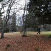 20101030_184